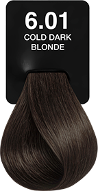 6.01 COLD DARK BLONDE