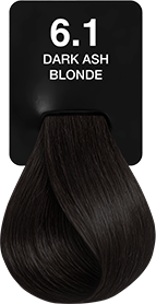 6.1 DARK ASH BLONDE