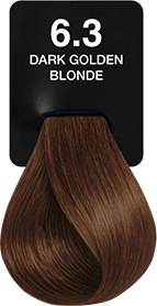 6.3 DARK GOLDEN BLONDE