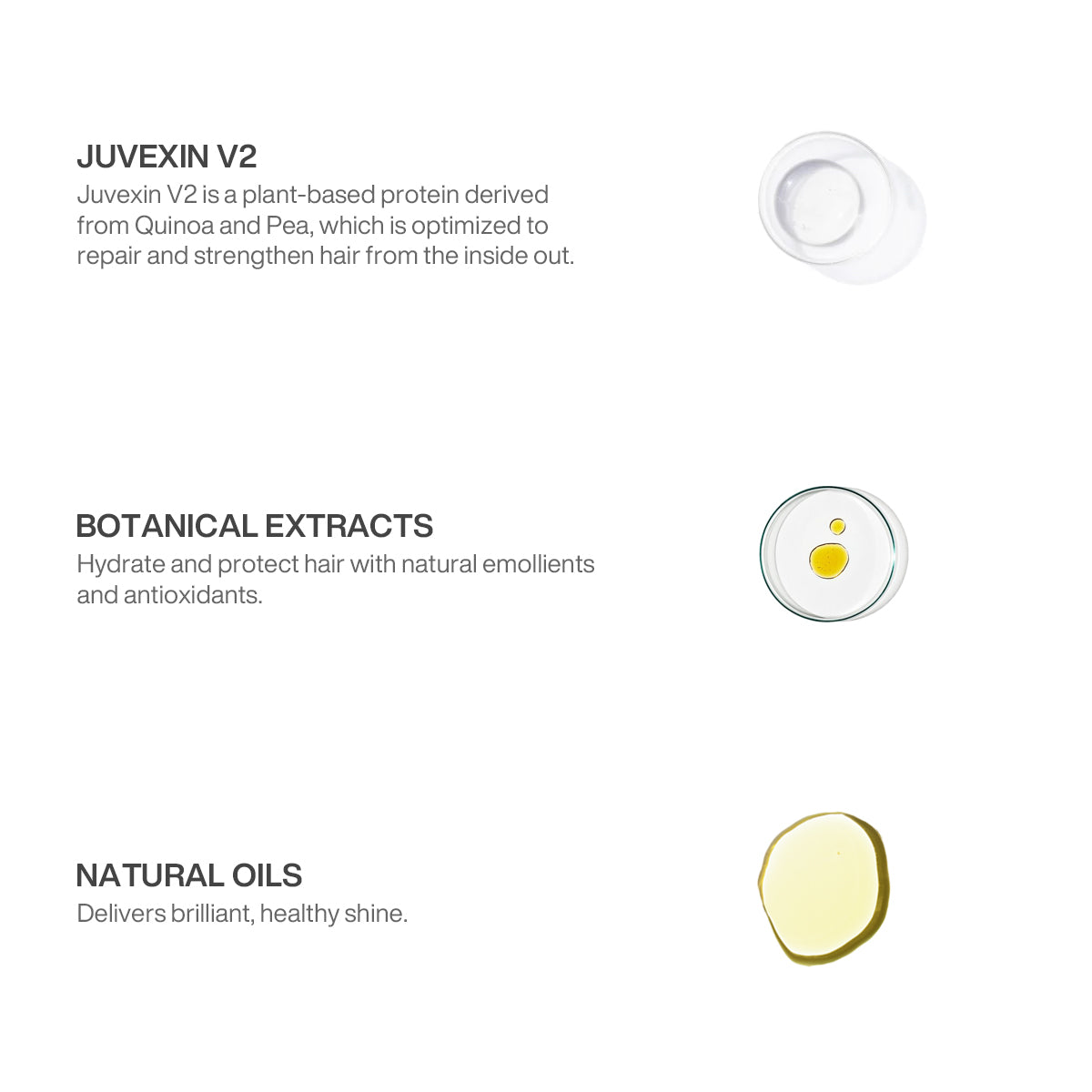 GK Hair Dry Oil Shine Spray Best Hair Shine Spray