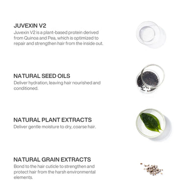 GK Hair Silver Shampoo Ingredient that Contains Juvexin V2, Natural Seeds Oils, Natural Plant Extracts and Natural Grain Extracts in a white background