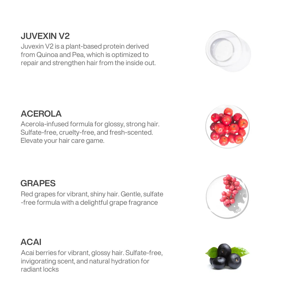 Image showcases The Best Acai Treatment ingredients: Juvexin V2, acerola, grapes, and acai, highlighting their benefits and formulation features.