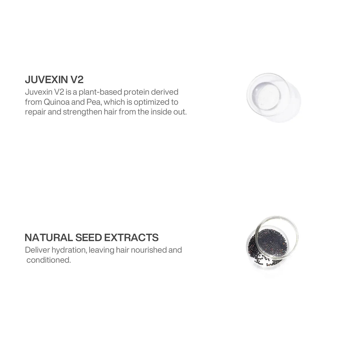 GK Hair Best Hair Treatment Ingredient Containing Juvexin V2 and Natural Seed Extract in a white background