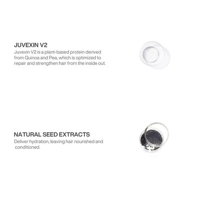 GK Hair Best Hair Treatment Ingredient Containing Juvexin V2 and Natural Seed Extract in a white background
