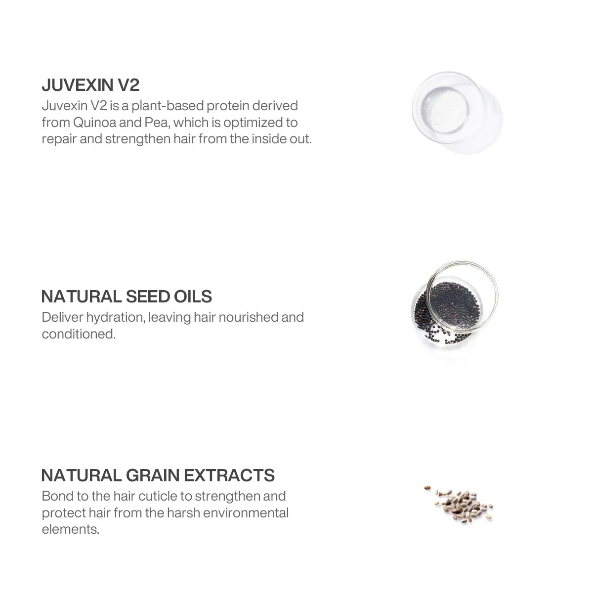 GK Hair ThermalStyleHer Cream Ingredient containing Juvexin V2, natural seed oils, and natural grain extracts for hair care, with images of respective ingredients.